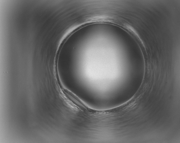 X0000060561336200511070937