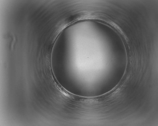 X0000060561337200511070937