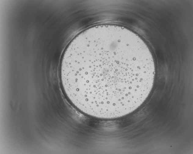 X0000060561338200511070937