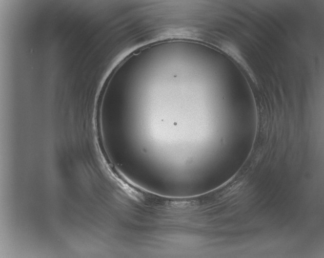 X0000060561339200511070937