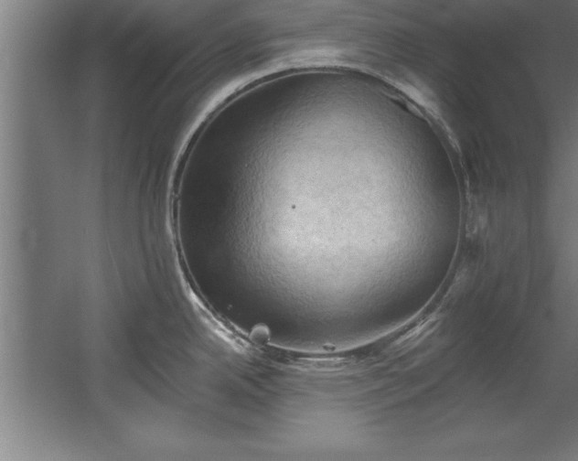 X0000060561342200511070937