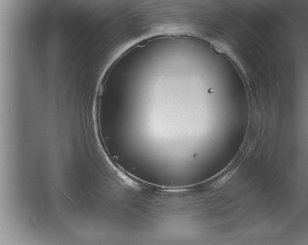 X0000060561343200511070937