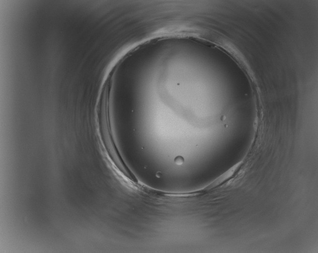 X0000060561344200511070937