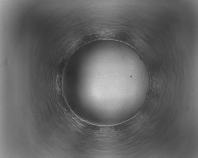 X0000060561346200511070936