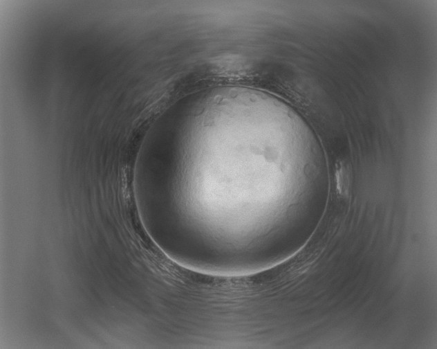 X0000060561347200511070936