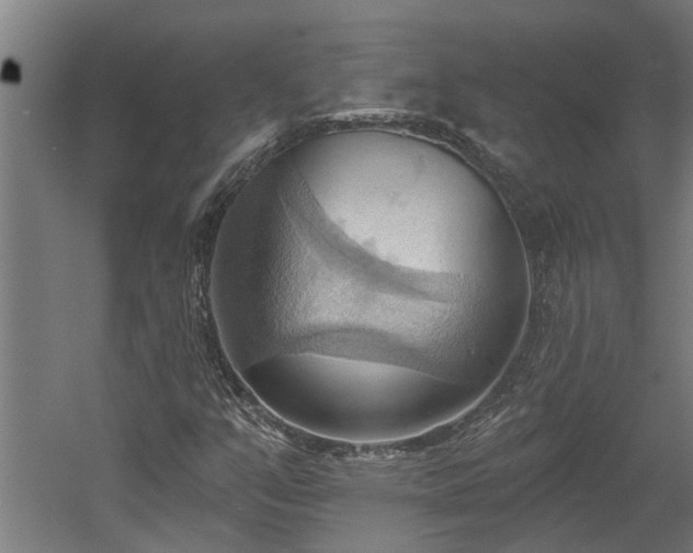 X0000060561351200511070936