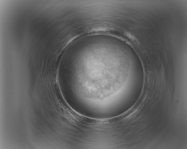 X0000060561353200511070936