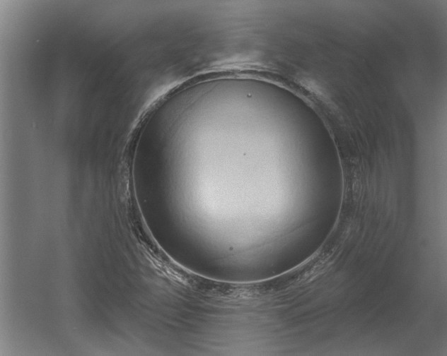 X0000060561358200511070936