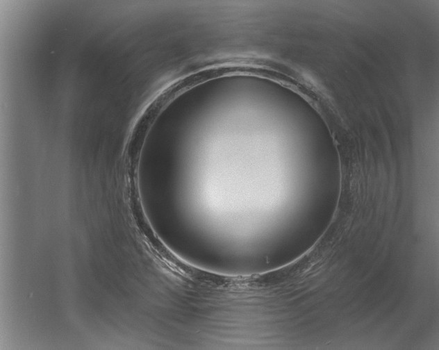 X0000060561360200511070936