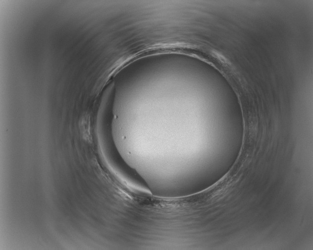 X0000060561361200511070936