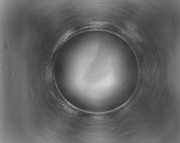 X0000060561362200511070936