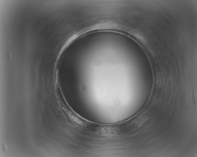 X0000060561366200511070936