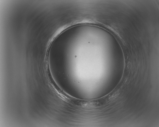 X0000060561367200511070936