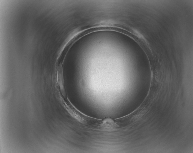 X0000060561368200511070936