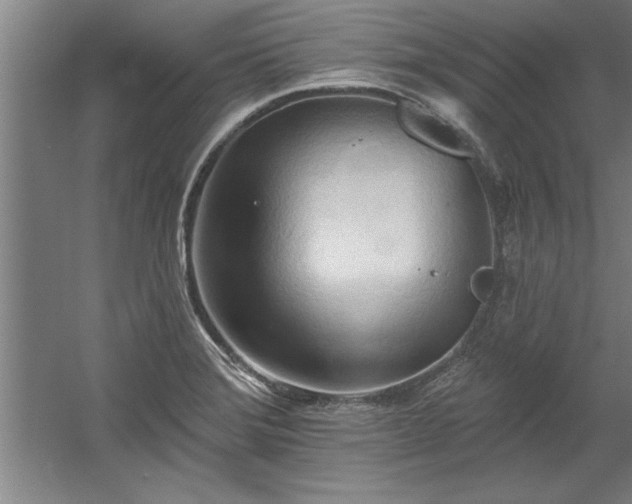 X0000060561372200511070936