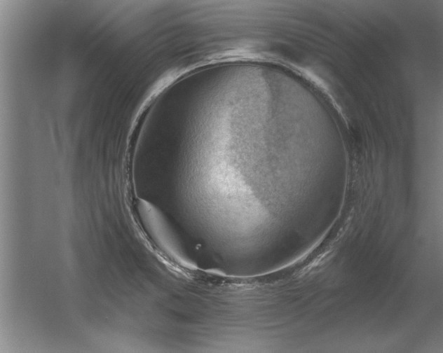 X0000060561373200511070936