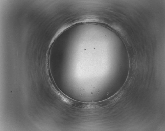 X0000060561374200511070936