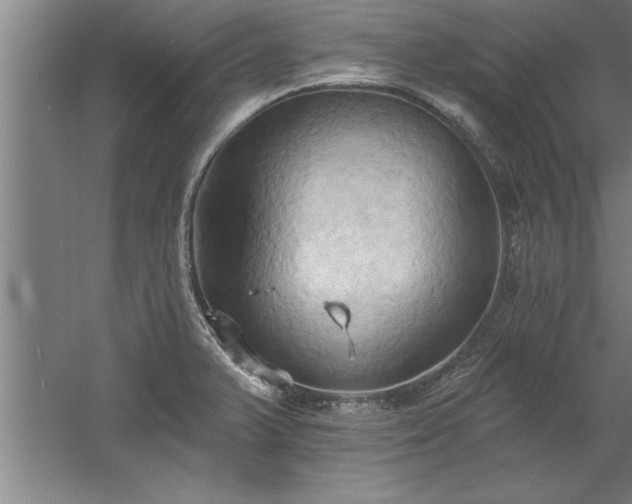 X0000060561375200511070936