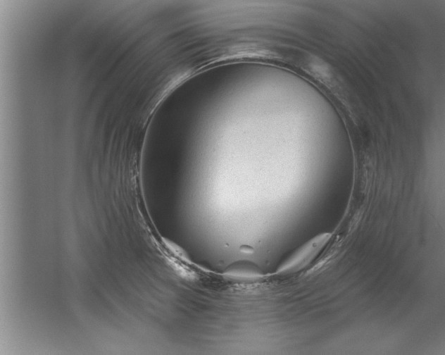 X0000060561377200511070936