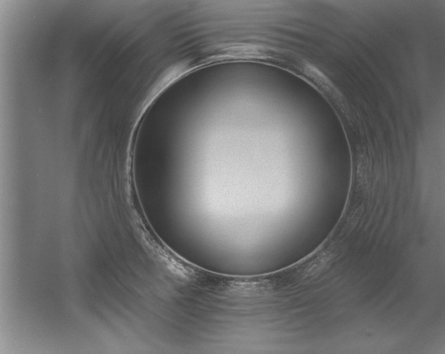 X0000060561378200511070936