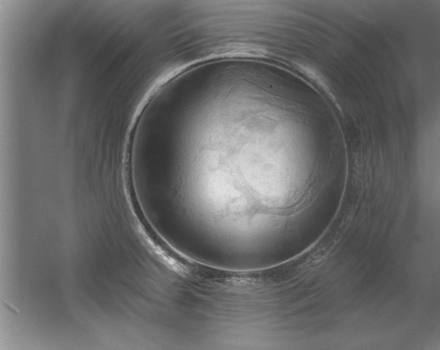 X0000060561379200511070936