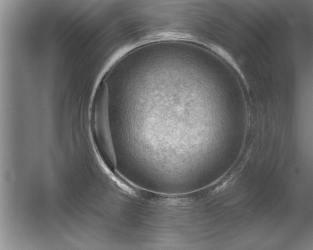 X0000060561381200511070936