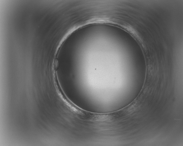 X0000060561382200511070936