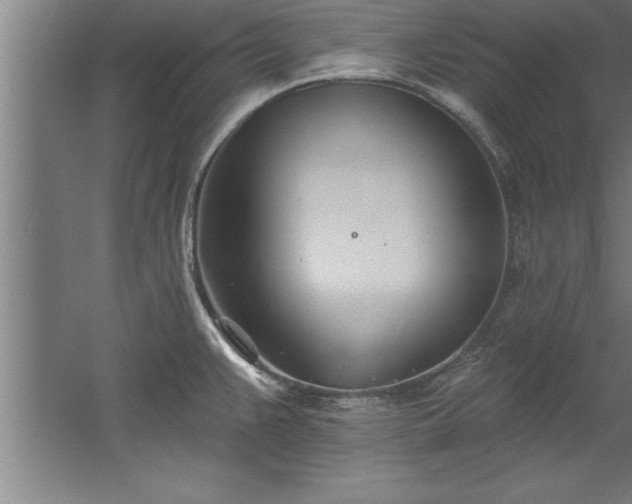 X0000060561383200511070936