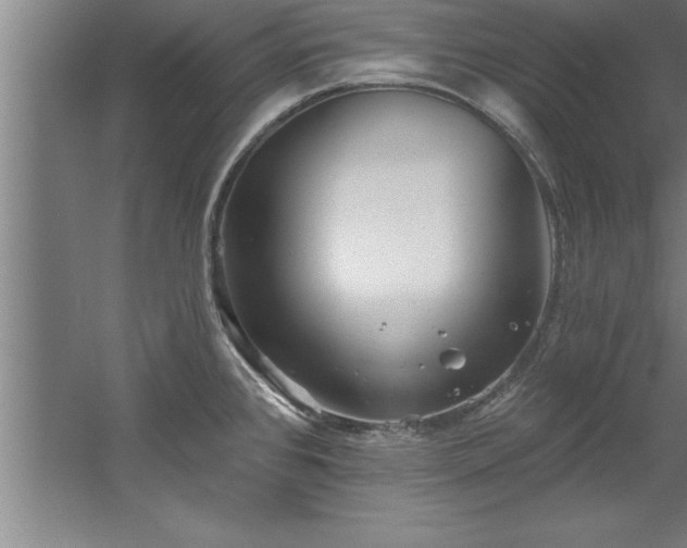 X0000060561384200511070936