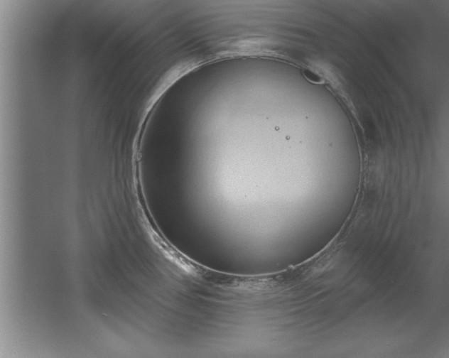 X0000060561386200511070936