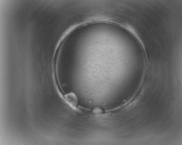 X0000060561389200511070936