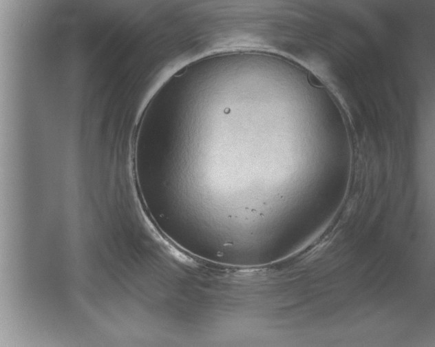 X0000060561390200511070936