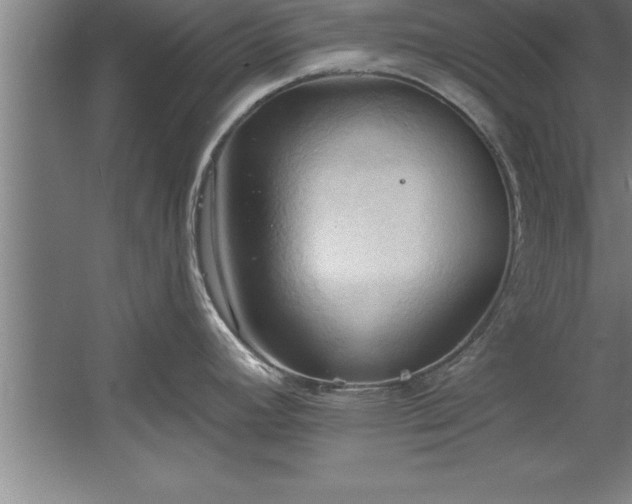 X0000060561392200511070936