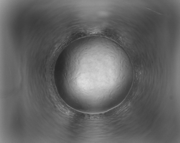 X0000060561393200511070935