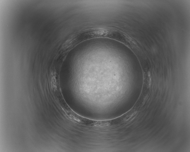 X0000060561394200511070935