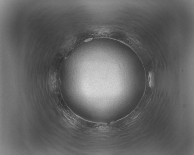 X0000060561395200511070935