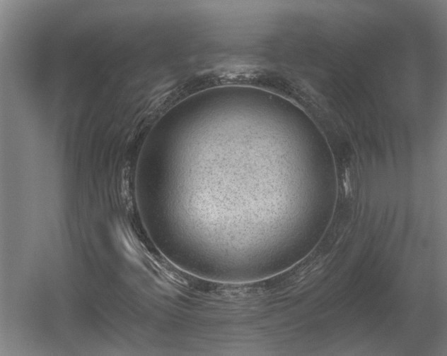 X0000060561396200511070935