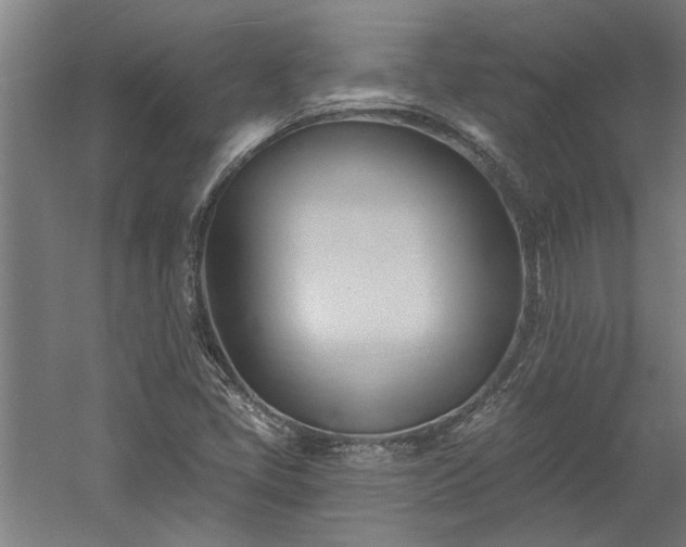 X0000060561405200511070935