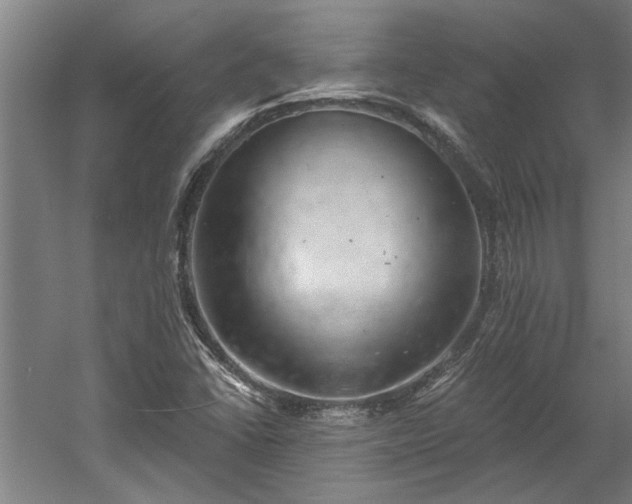 X0000060561406200511070935