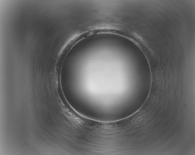 X0000060561408200511070935