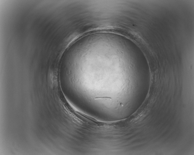 X0000060561409200511070935