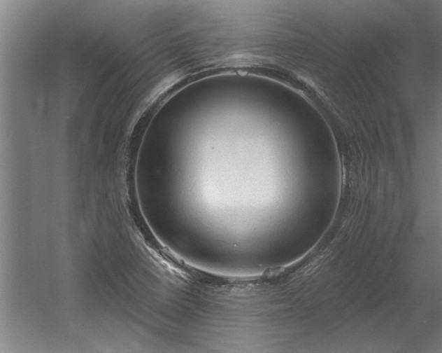 X0000060561410200511070935