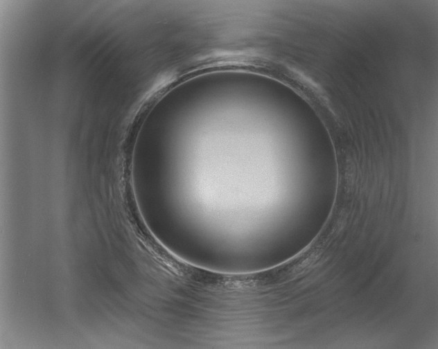 X0000060561411200511070935