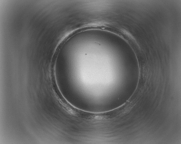 X0000060561412200511070935