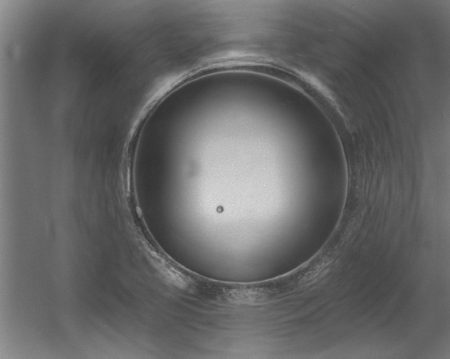 X0000060561413200511070935