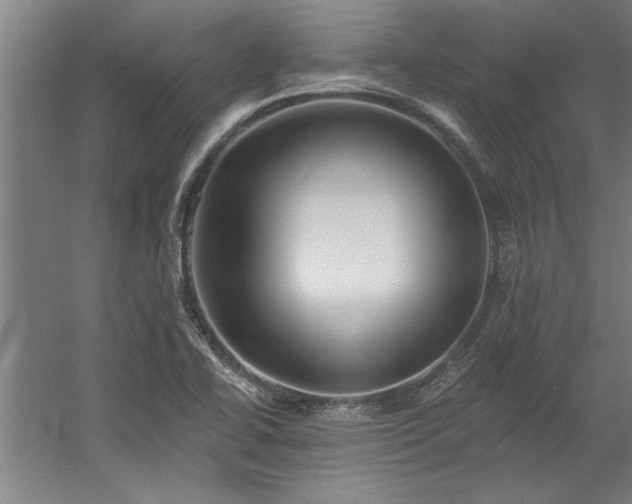 X0000060561414200511070935