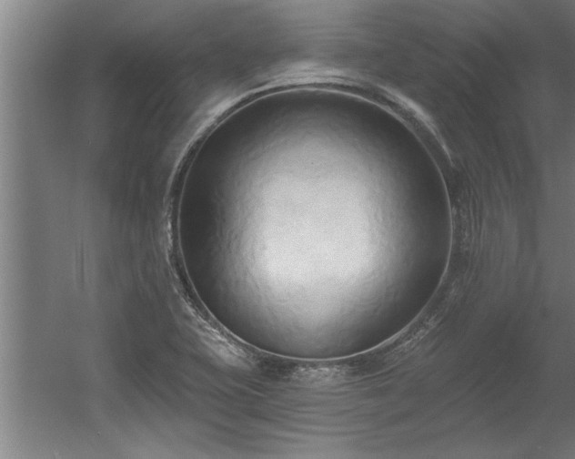 X0000060561415200511070935