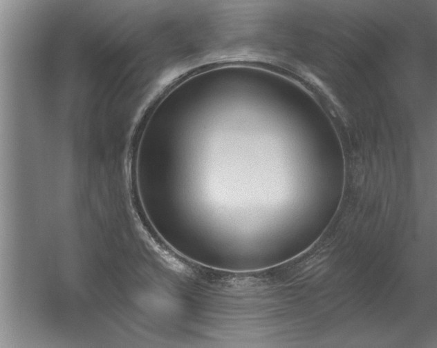 X0000060561416200511070935