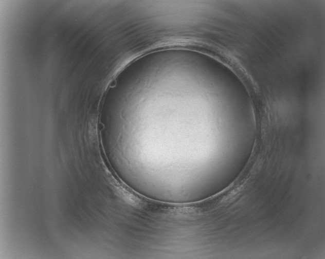 X0000060561417200511070935