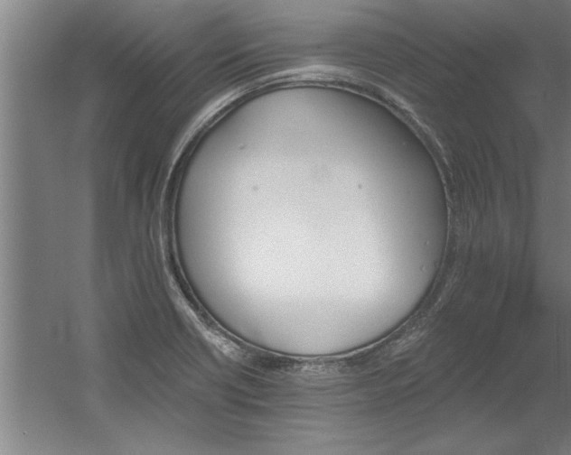 X0000060561418200511070935